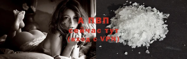 тгк Алексин