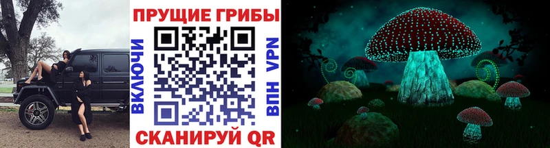 Псилоцибиновые грибы Cubensis  Полысаево 
